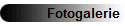 Fotogalerie